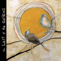 Buy Brett Kull - The Last Of The Curlews Mp3 Download