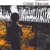 Buy Corde Oblique - Volontà D'arte Mp3 Download