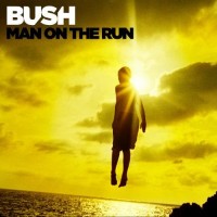 Purchase Bush - Man on the Run