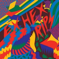 Purchase Ex Hex - Rips