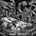 Buy Witchaven - Blood Sacrifice Mp3 Download