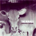 Buy The Rurals - Farmyard Flavours Mp3 Download