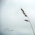 Buy Sven Laux - Elusive Moments Mp3 Download