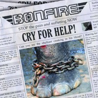 Purchase Bonfire - Cry For Help (EP)