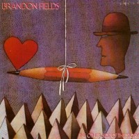 Purchase Brandon Fields - The Other Side Of The Story