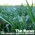 Buy The Rurals - The Grass Is Always Greener Mp3 Download