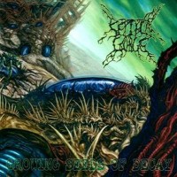 Purchase Septycal Gorge - Growing Seeds Of Decay