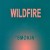Purchase Wildfire- Smokin (Vinyl) MP3