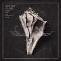 Buy Robert Plant & The Sensational Space Shifters - Lullaby Аnd... The Ceaseless Roar Mp3 Download
