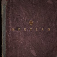 Purchase Greylag - Greylag