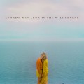 Buy Andrew McMahon In The Wilderness - Andrew McMahon In The Wilderness Mp3 Download