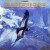 Buy Inti-Illimani - The Flight Of The Condor (Vinyl) Mp3 Download