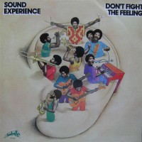 Purchase Sound Experience - Don't Fight The Feeling (Vinyl)