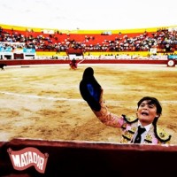 Purchase VA - Matador Records: Intended Play 2010