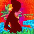 Buy Groundation - A Miracle Mp3 Download