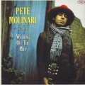 Buy Pete Molinari - Walking Off The Map Mp3 Download