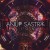 Buy Anup L. Sastry - Lion (EP) Mp3 Download