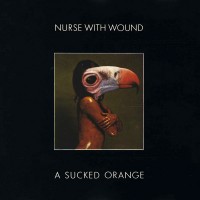 Purchase Nurse With Wound - A Sucked Orange
