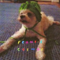 Purchase Frankie Cosmos - Zentropy