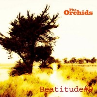 Purchase The Orchids - Beatitude #9