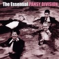 Buy Pansy Division - The Essential Pansy Division Mp3 Download