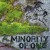Buy A Minority Of One - Bathe In Fiery Answer Mp3 Download