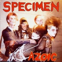 Purchase Specimen - Azoic