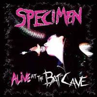 Purchase Specimen - Alive At The Batcave