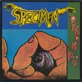Buy Specimen - Returning (VLS) Mp3 Download