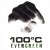 Purchase 100°c- Evergreen MP3