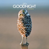 Purchase The Goodnight - Owlbum