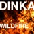 Buy Dinka - Wildfire (EP) Mp3 Download