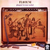 Purchase Flavium - Pluggin' In Your Socket (Vinyl)
