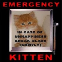 Purchase Kevin Suter - In Case Of Emergency (CDS)