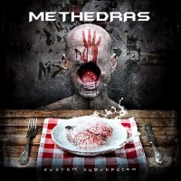 Purchase Methedras - System Subversion