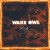 Buy Wake Owl - Candy (CDS) Mp3 Download