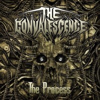 Purchase The Convalescence - The Process