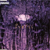 Purchase Crustation - Purple (MCD)