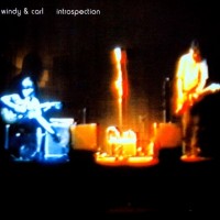 Purchase Windy & Carl - Introspection CD1