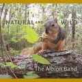 Buy The Albion Band - Natural And Wild Mp3 Download