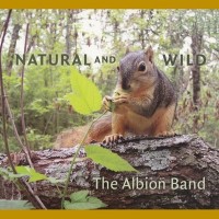 Purchase The Albion Band - Natural And Wild