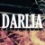 Buy Darlia - Knock Knock (EP) Mp3 Download