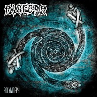 Purchase Algebra (Thrash Metal) - Polymorph