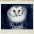 Buy Slow Motion Picture - In Memory Of... Mp3 Download
