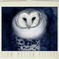 Purchase Slow Motion Picture - In Memory Of...