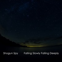 Purchase Shogun Spy - Falling Slowly Falling Deeply