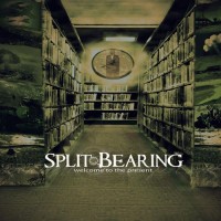 Purchase Split Bearing - Welcome To The Present