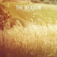 Purchase Windsor Airlift - The Meadow