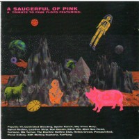 Purchase VA - A Saucerful Of Pink: A Tribute To Pink Floyd CD1