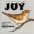 Buy Sufjan Stevens - Joy! Songs For Christmas Vol. 4 Mp3 Download